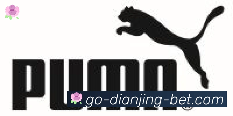DB电竞合作伙伴